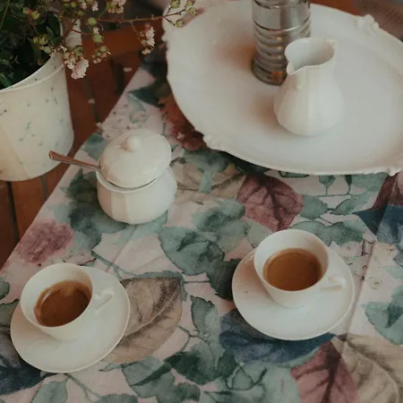 Casa Caroli, Dimore Di Langa - Charme E Comfort Nel Cuore Di Hébergement de vacances *